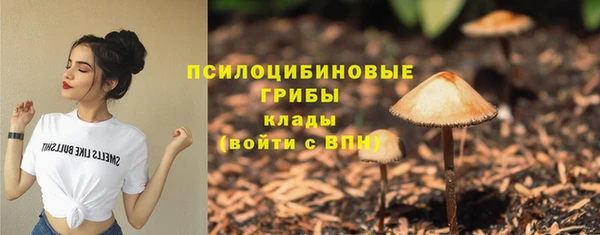 шишки Волосово