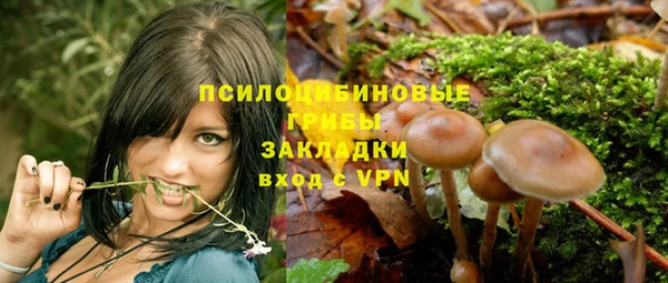 прущий лед Володарск