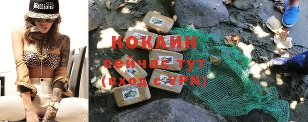 шишки Волосово
