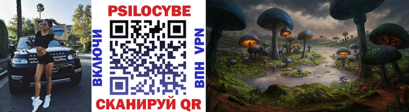 Псилоцибиновые грибы мухоморы Купить закладки Рыбное